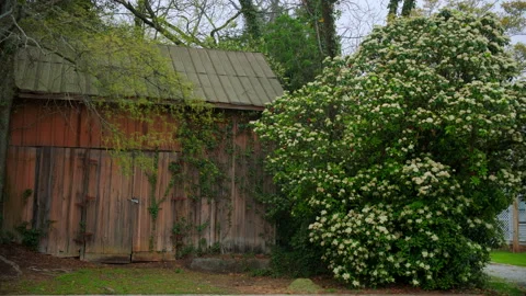 Old barn stands on the quiet small town street Stock Footage 314925610