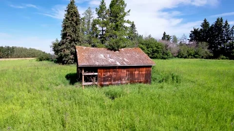 Old Barn surrounded by green grass out in a field Video stock 237028049