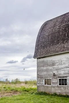 Old barn with swallows Stock Photos