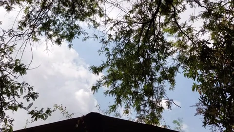 Old barn under the shade of a tree Stock-Footage 263798884
