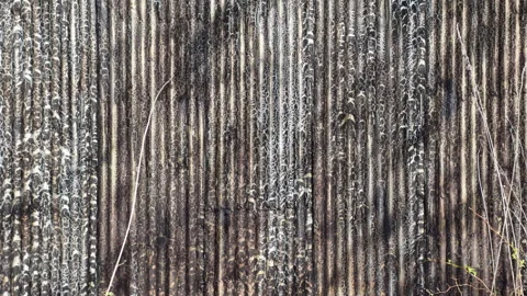 Old barn wall covered with corrugated iron sheet and dried tar Vídeo Stock 130885838