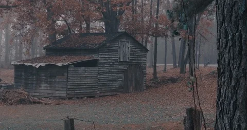 Old Barn in the woods Stock Footage 88262844