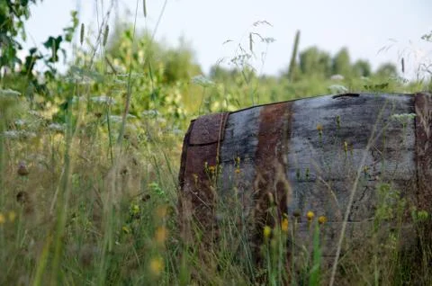 Old barrel in the grass Stock Photos