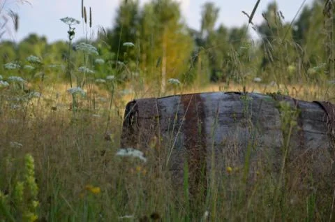 Old barrel in the grass Stock Photos