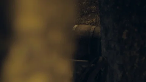 Old barrels for wine storage. Old cellar Video stock 106015544