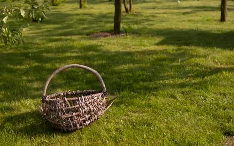Old basket in orchard Stock Photos