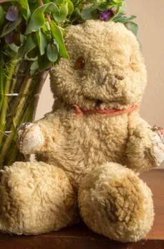 An old battered teddy bear Stock Photos