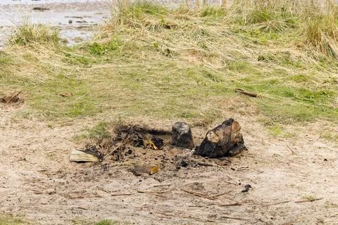 Old Beach Campfire Pit with Charred Stones, Sandy Grass Dunes and Coast Stock Photos