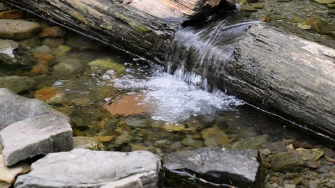 The old beam make a waterfall on a mountain stream. Stock Footage 100265745