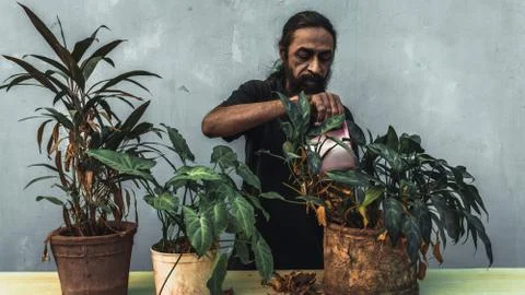 Old beard man doing home gardening Stock Photos
