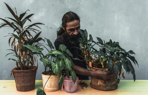 Old beard man doing home gardening Stock Photos