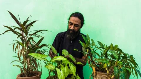 Old beard man doing home gardening Stock-Fotos