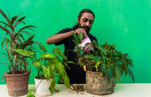 Old beard man doing home gardening Stock Photos