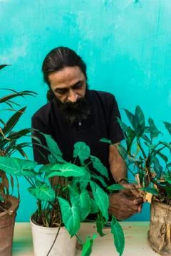 Old beard man doing home gardening Stock Photos