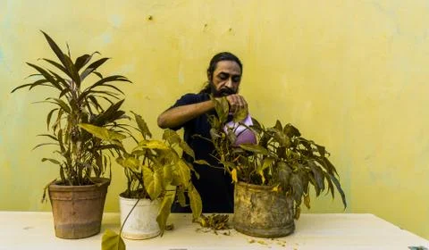 Old beard man doing home gardening Stock Photos