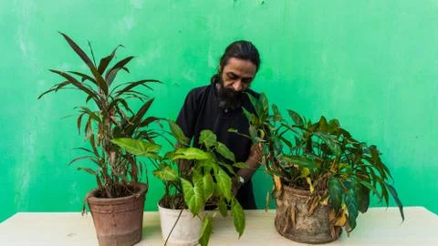 Old beard man doing home gardening Stock-Fotos