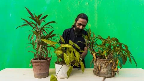 Old beard man doing home gardening Stock Photos