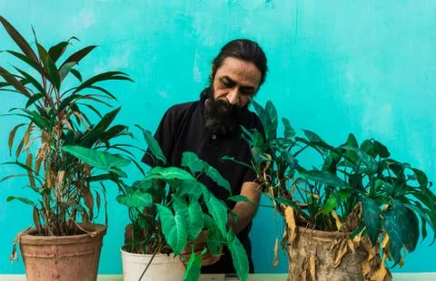 Old beard man doing home gardening Stock Photos