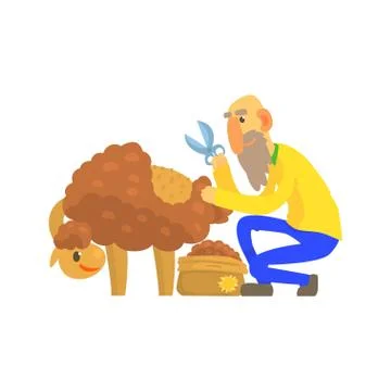 Old bearded farmer sheaving wool from sheep Stock Illustration