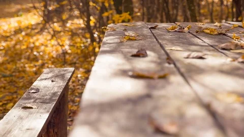 The old beautiful table is covered with yellow leaves. 動画素材 83175398