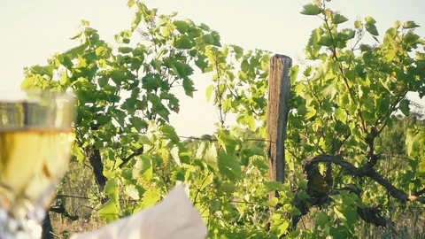 Old beautiful vine slow motion camera Video stock 90710181