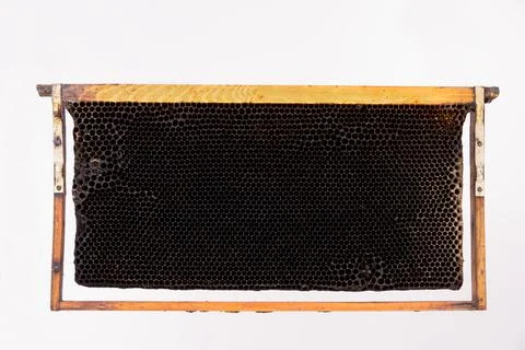 Old bee frame on white background Stock-Fotos