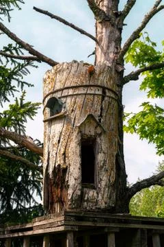 Old beehive on a dried tree in a forest glade. Stock Photos