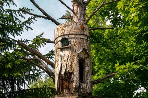 Old beehive on a dried tree in a forest glade. Foto stock
