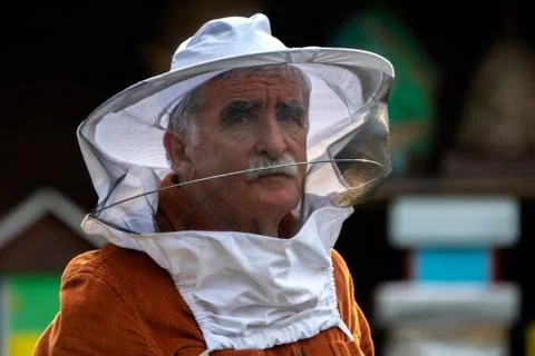 Old beekeeper in his apiary Stock Photos