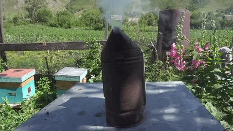 Old beekeeper smoking pot standing on the hives Stock Footage