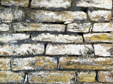 Old beige stone wall background texture close up Foto stock