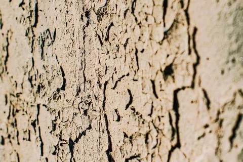Old beige wall texture in daylight. White light with shadow and highlights. a Foto stock
