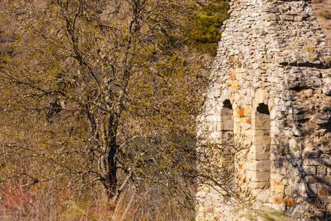 Old bell gable and tree face to face Stock Photos