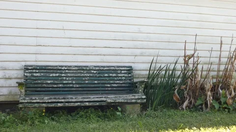 Old bench in 4k Stock Footage 120808993