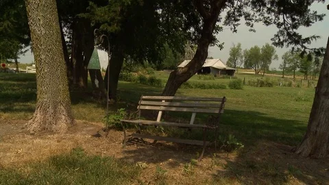 Old Bench in Country Stock Footage 82916774
