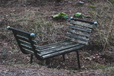 Old bench in the forest with knobs. Peeling paint. Grass around. Horizontal. Fotos de archivo
