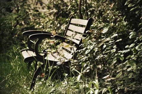 Old bench in the garden Stock Photos