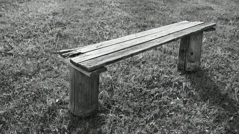Old bench on the grass, black and white Stock Footage 110838956