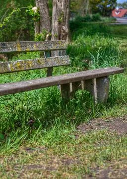 Old bench with moss Stock Photos