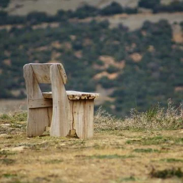 An old bench in nature 库存照片