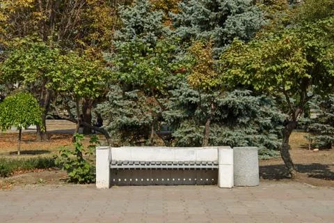 Old bench in a park. 写真素材