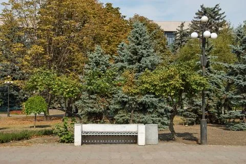 Old bench in a park. 写真素材