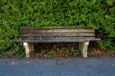 Old bench in the park. Stock Photos