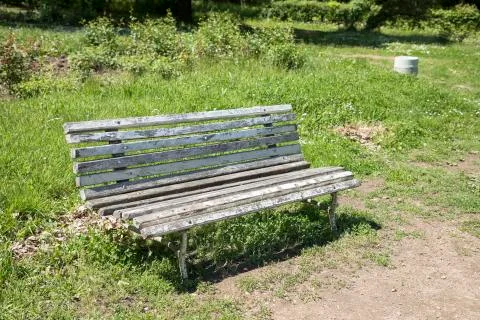 Old bench in the park at summer Stock-Fotos