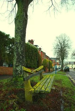 Old bench Stock-Fotos