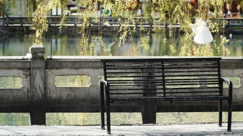 Old bench with river and tree at the background Stock Photos