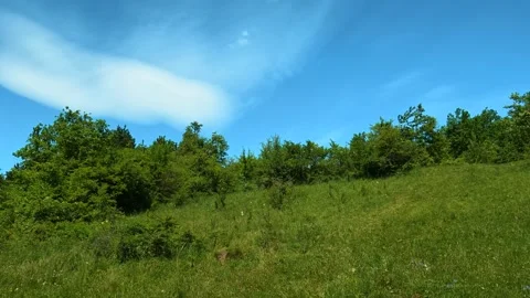 Old bench sits quiet in green meadow. Vrmdza Lake, Serbia Stock Footage 338025413