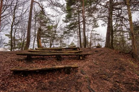 Old bench from tree in forest and fallen leaves on ground and wood sculpture  Stock Photos