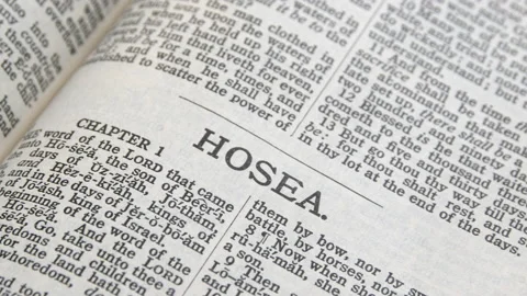 Old bible open to the propher Hosea Stock Footage 166859369