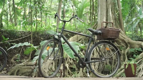 An old bicycle with a basket on the back Stock Footage 260213067